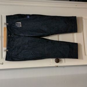 NWT Lands' End Arch Denim Audrey Crop